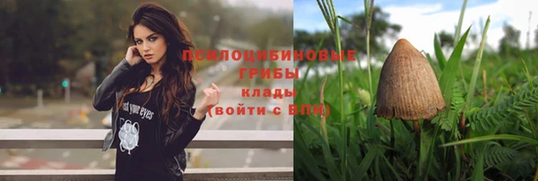 ГАЛЛЮЦИНОГЕННЫЕ ГРИБЫ Медвежьегорск