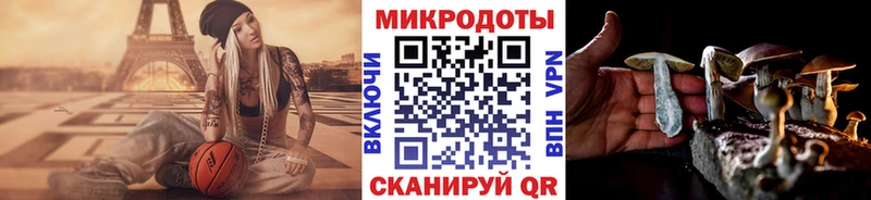 Галлюциногенные грибы Psilocybe  Уржум 